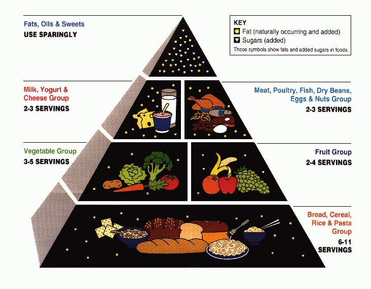 1992 USDA food guide diagram.